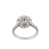 Scalloped Halo Sapphire Ring