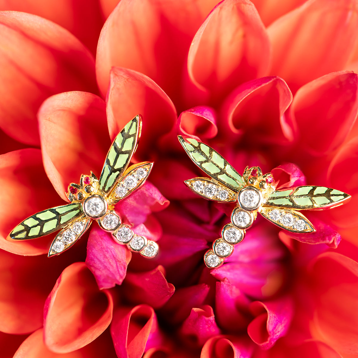 Aida Bergsen Dragonfly Studs