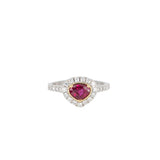 Alchemy Fancy Cut Ruby Halo Ring