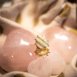 Alex Sepkus Granulated Heart Earrings