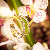 Alex Sepkus Micro Windows Earrings