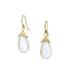 Barbara Heinrich Moonstone Drop Earrings