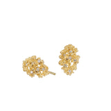 Branch Jewelry Curved Marquise Earrings