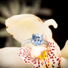 Erika Winters Minna Solitaire Ring with Oval Sapphire