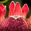 Erika Winters Twyla Round Contour Half Diamond Band