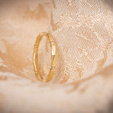 Erika Winters Viola Band