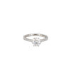 Erika Winters Grace Solitaire Ring in Platinum