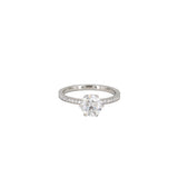 Erika Winters Grace Solitaire Ring in Platinum