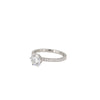 Erika Winters Grace Solitaire Ring in Platinum