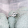 Erika Winters Grace Solitaire Ring in Platinum