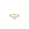 Erika Winters Grace Cathedral Ring in Yellow Gold