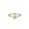 Erika Winters 6-Prong Laurel Cathedral Ring