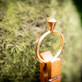 Todd Reed High Profile Martini Ring