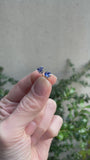 Sapphire 4 Prong Studs