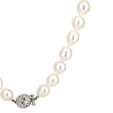 Alex Sepkus South Sea Pearl Strand with Diamond Clasp Necklace