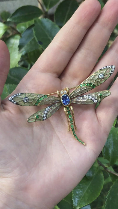 Dragonfly Brooch - Plique Au Jour 